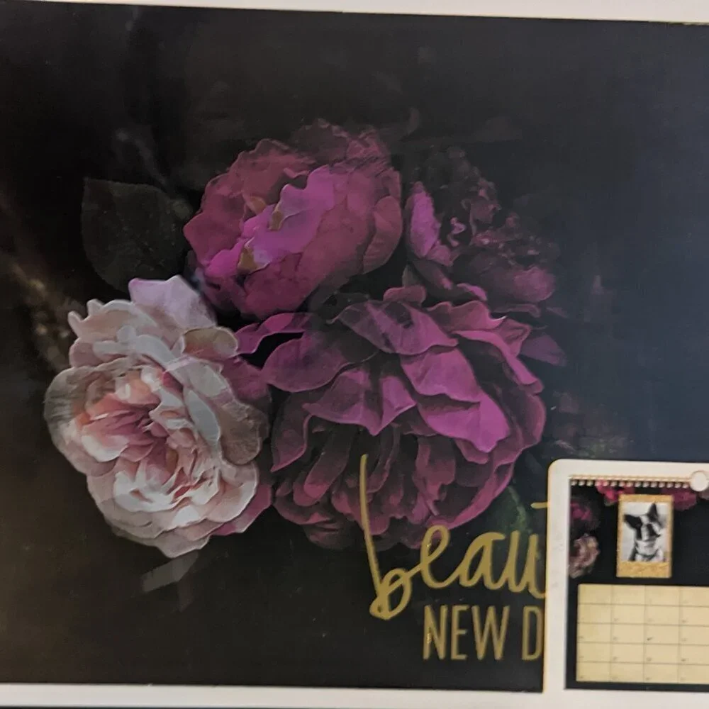 Heidi Swapp attractive new